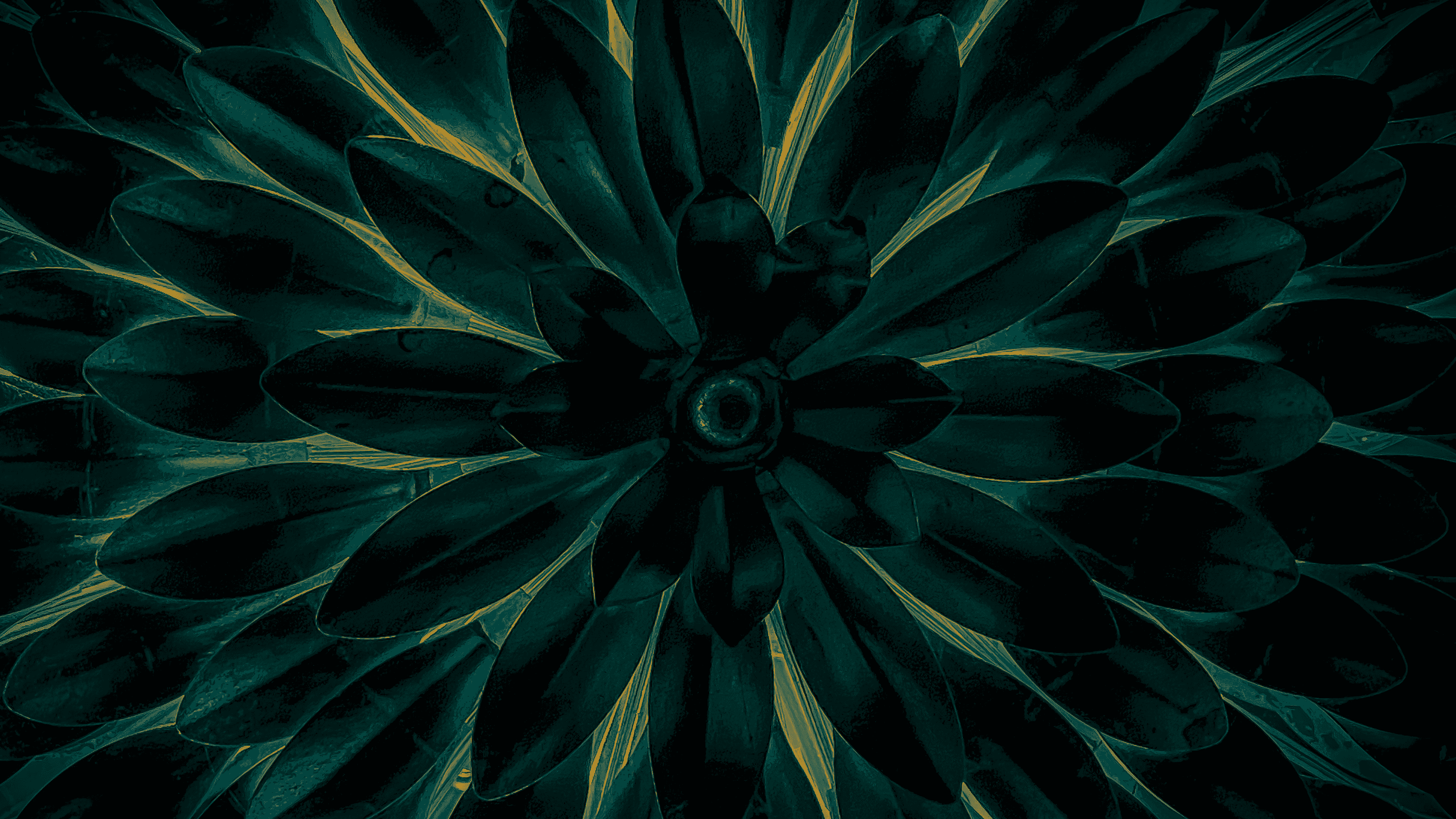 quote carousel background image